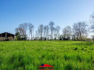 Cascina Strada Raffo 32, Busca — foto 3 di 36