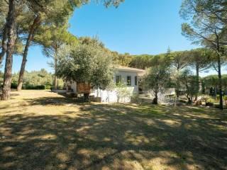 Villa unifamiliare via Reno, Castiglioncello, Rosignano Marittimo — foto 36 di 54