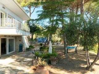 Villa unifamiliare via Reno, Castiglioncello, Rosignano Marittimo — foto 22 di 54
