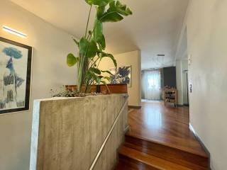Casale via Ca' Mariani, Vo' — foto 32 di 58