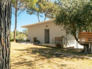 Villa unifamiliare via Reno, Castiglioncello, Rosignano Marittimo — foto 27 di 54
