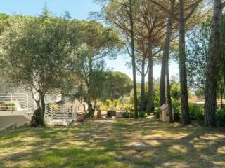 Villa unifamiliare via Reno, Castiglioncello, Rosignano Marittimo — foto 44 di 54