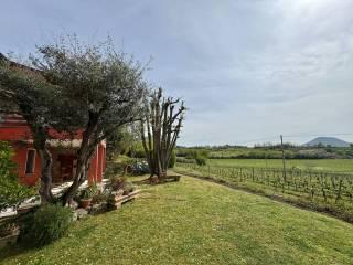 Casale via Ca' Mariani, Vo' — foto 41 di 58