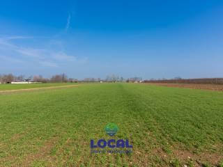 Rustico via Roero 131, Ronchi, Cuneo — foto 21 di 23