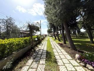 Villa unifamiliare Strada del Salice Nuovo, Salice Nuovo, Foggia — foto 35 di 48