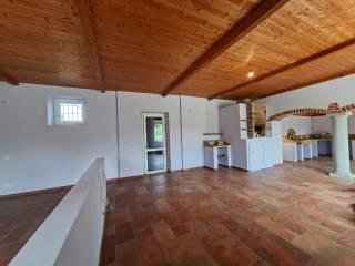 Casale Località Piazzolo, San Salvatore Monferrato — foto 25 di 72