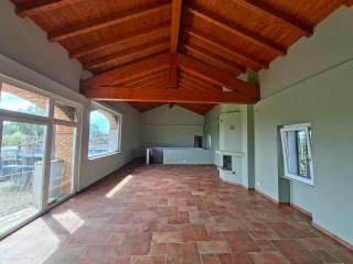 Casale Località Piazzolo, San Salvatore Monferrato — foto 45 di 72