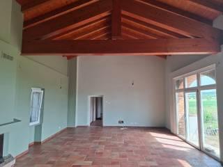 Casale Località Piazzolo, San Salvatore Monferrato — foto 15 di 72