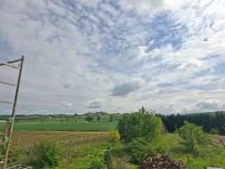 Casale Località Piazzolo, San Salvatore Monferrato — foto 24 di 72