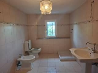 Casale Località Piazzolo, San Salvatore Monferrato — foto 51 di 72