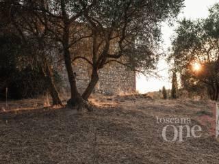 Villa unifamiliare via roma, Centro, Asciano — foto 17 di 38