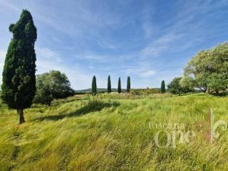 Villa unifamiliare via roma, Centro, Asciano — foto 32 di 38