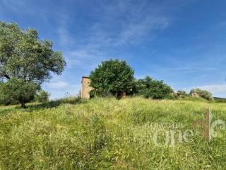 Villa unifamiliare via roma, Centro, Asciano — foto 10 di 38
