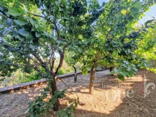 Villa unifamiliare via Malizia 1, Cavallano, Casole d'Elsa — foto 44 di 62