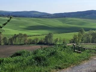 Casale Strada Radi-Siena, Monteroni d'Arbia — foto 53 di 54