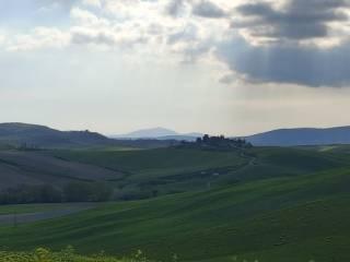 Casale Strada Radi-Siena, Monteroni d'Arbia — foto 54 di 54