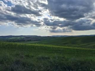 Casale Strada Radi-Siena, Monteroni d'Arbia — foto 24 di 54