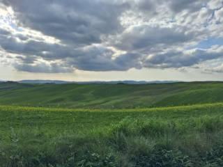 Casale Strada Radi-Siena, Monteroni d'Arbia — foto 43 di 54