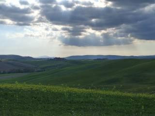 Casale Strada Radi-Siena, Monteroni d'Arbia — foto 52 di 54