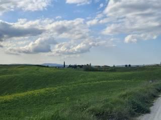Casale Strada Radi-Siena, Monteroni d'Arbia — foto 21 di 54