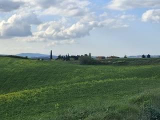 Casale Strada Radi-Siena, Monteroni d'Arbia — foto 35 di 54
