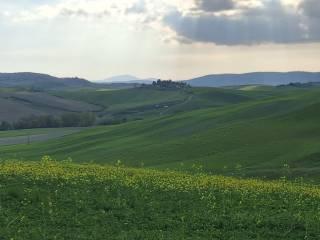 Casale Strada Radi-Siena, Monteroni d'Arbia — foto 50 di 54