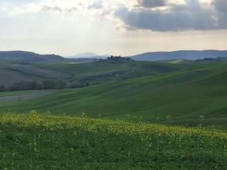 Casale Strada Radi-Siena, Monteroni d'Arbia — foto 5 di 54