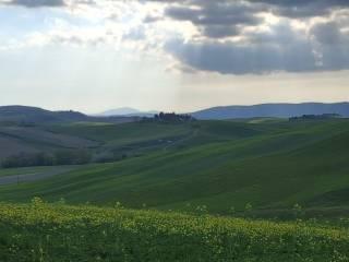 Casale Strada Radi-Siena, Monteroni d'Arbia — foto 17 di 54