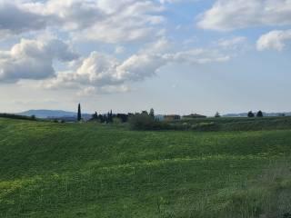 Casale Strada Radi-Siena, Monteroni d'Arbia — foto 3 di 54