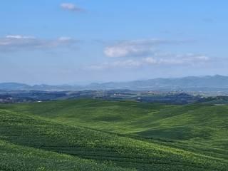 Casale Strada Radi-Siena, Monteroni d'Arbia — foto 26 di 54