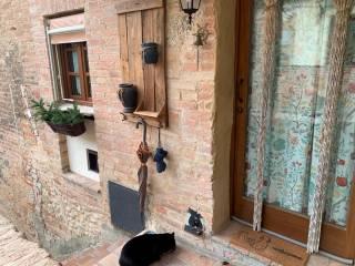 Casale Strada Radi-Siena, Monteroni d'Arbia — foto 40 di 54