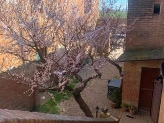 Casale Strada Radi-Siena, Monteroni d'Arbia — foto 8 di 54