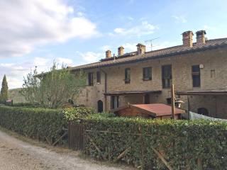 Casale Località Roccaia, San Gimignano — foto 38 di 40