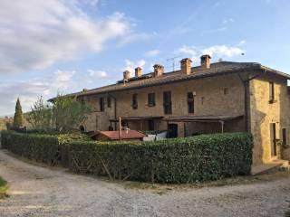 Casale Località Roccaia, San Gimignano — foto 17 di 40