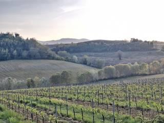 Casale Località Roccaia, San Gimignano — foto 27 di 40