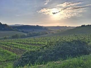 Casale Località Roccaia, San Gimignano — foto 18 di 40