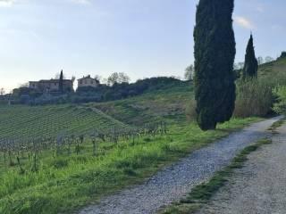 Casale Località Roccaia, San Gimignano — foto 19 di 40