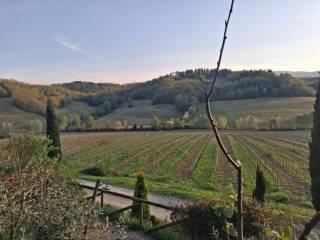 Casale Località Roccaia, San Gimignano — foto 36 di 40