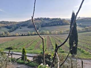 Casale Località Roccaia, San Gimignano — foto 25 di 40