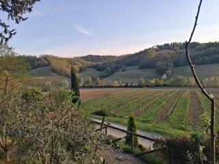 Casale Località Roccaia, San Gimignano — foto 29 di 40