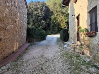 Casale Località Roccaia, San Gimignano — foto 14 di 40