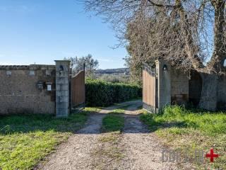 Villa unifamiliare, ottimo stato, 400 m², Piansano — foto 15 di 82