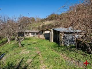 Villa unifamiliare, ottimo stato, 400 m², Piansano — foto 26 di 82