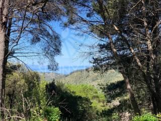 Villa unifamiliare via dei Castagni 11, Cefalù — foto 24 di 47