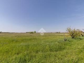 Terratetto unifamiliare 192 m², da ristrutturare, Molinato, Cà Fornera, Jesolo — foto 10 di 12
