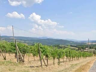 Villa unifamiliare Ciconia No Number, Orvieto — foto 12 di 12