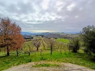 Villa unifamiliare Ciconia No Number, Orvieto — foto 2 di 12