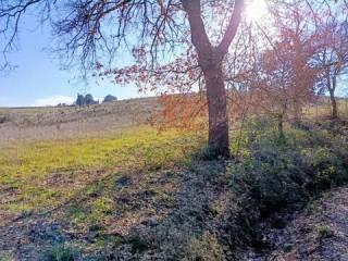 Villa unifamiliare 620 m², Orvieto — foto 2 di 13