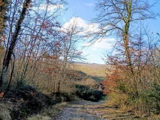 Villa unifamiliare 620 m², Orvieto — foto 5 di 13