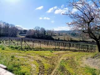 Villa unifamiliare Acquaviva, Orvieto — foto 36 di 58